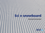 skus_richtlinien_skifahren_snowboarden_it.png