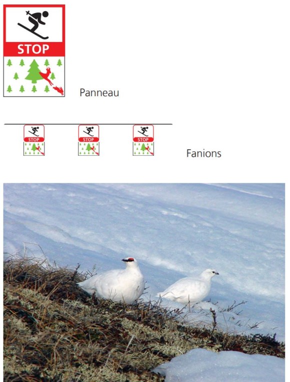 11_zones_de_protection_content.jpg